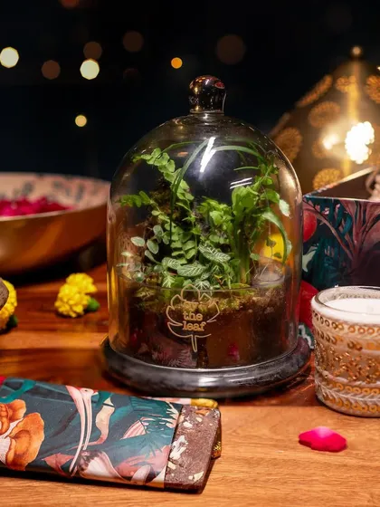 A closer look at the elements of my festive gift box. The cloche terrarium, with its delicate ferns, sits beside handmade chocolates and a decorative candle, creating a perfect trio of gifts.