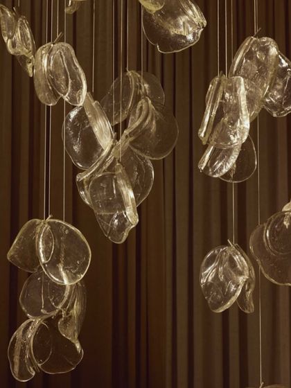 A cluster of Bocci 141 pendants hangs against a dark curtain, their forms resembling delicate, translucent petals.