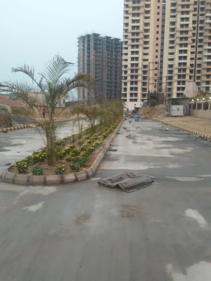 A work-in-progress shot of a roadside median planting. Even with limited space, we can add significant greenery and color to urban environments.