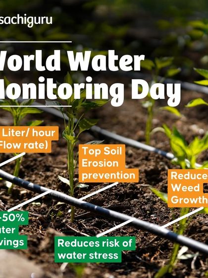 Our drip irrigation systems deliver water directly to the roots of each plant, saving 45-50% of water compared to traditional methods. This precision prevents water stress and reduces weed growth.