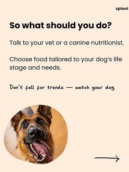 So what should you do? Talk to your vet or a canine nutritionist, and choose food tailored to your dog's specific needs. Don't follow trends, just watch your dog.