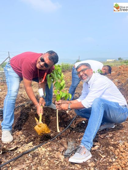 All smiles from the EXL team in Pune. The satisfaction of planting a tree that will grow for generations is a unique and rewarding experience.