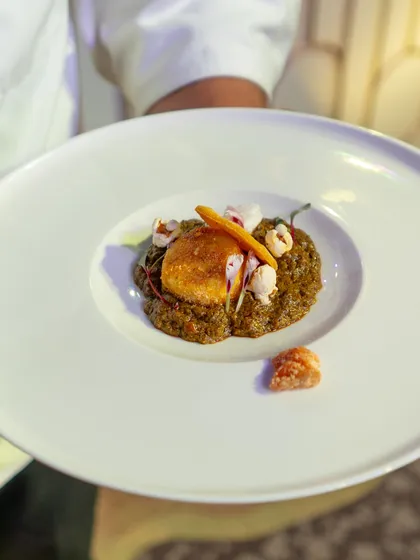 A perfectly plated main course held by a chef, showcasing the beautiful colours and textures of the dish against a clean white plate.
