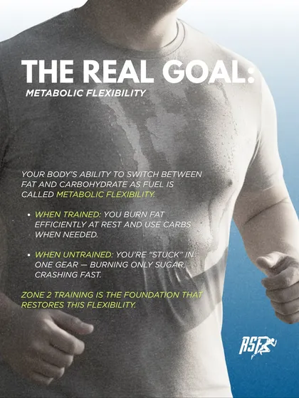 The real goal of combining Zone 2 and HIIT is metabolic flexibility. This is your body's ability to efficiently switch between burning fat for fuel at rest and using carbs for fuel when needed.