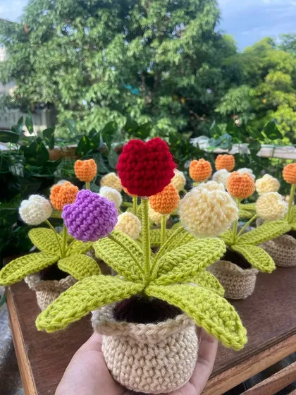 A still shot of the custom multi-flower pot, showcasing the vibrant red, purple, and cream colors.