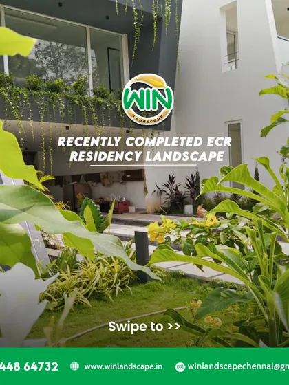 A view from within the garden of the recently completed ECR residency project. The mix of yellow flowering plants and varied green foliage creates a vibrant and inviting atmosphere.