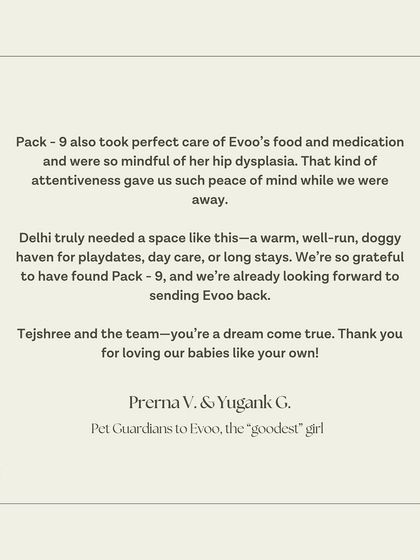 Evoo's family was grateful for the peace of mind we provided, especially regarding her hip dysplasia and medication. We take meticulous care of each dog's specific health needs.