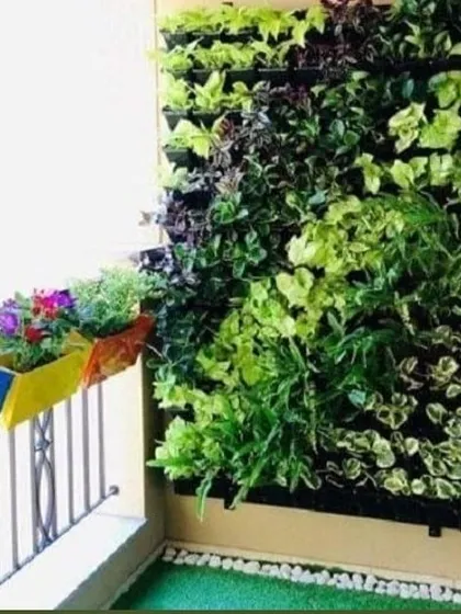 This is a vertical garden we installed on a small apartment balcony. It instantly adds a wall of green, providing privacy and a beautiful view.
