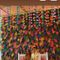 Shanaya Decorations