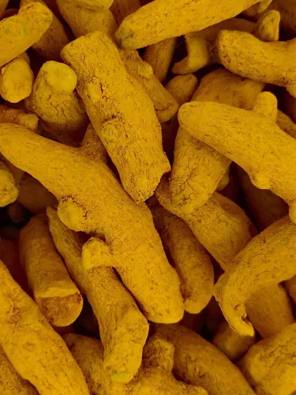 A close-up of whole turmeric fingers. We grind our own spices like this to ensure the flavour and health benefits in our pickles are absolutely pure and potent.