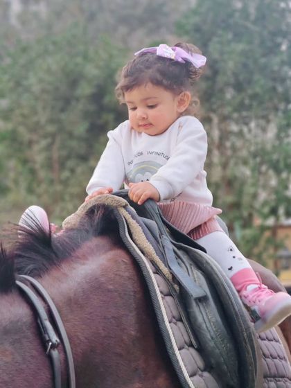 Fun Rides for All Ages photo 23