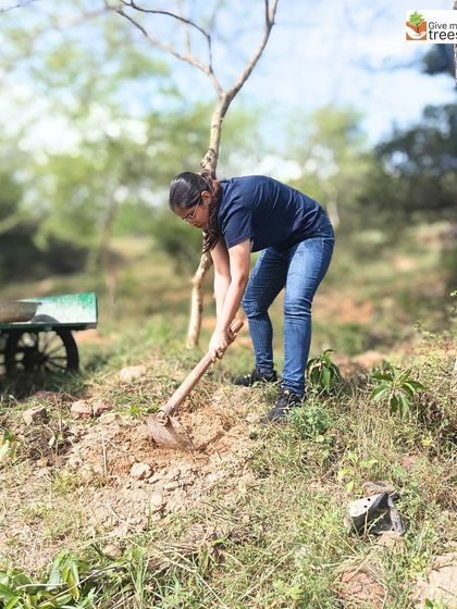 A volunteer digs into the earth at our Jaunapur City Forest. Every person who volunteers with us gets a chance to connect with the soil and play a direct role in creating a forest.