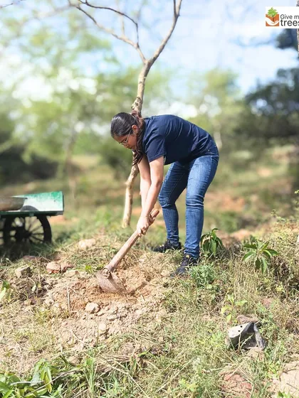 Volunteers at our Jaunapur City Forest site. These images show individuals from the community taking initiative, digging, planting, and learning from our team, embodying the spirit of grassroots environmentalism.