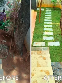 Landscape Design & Installation