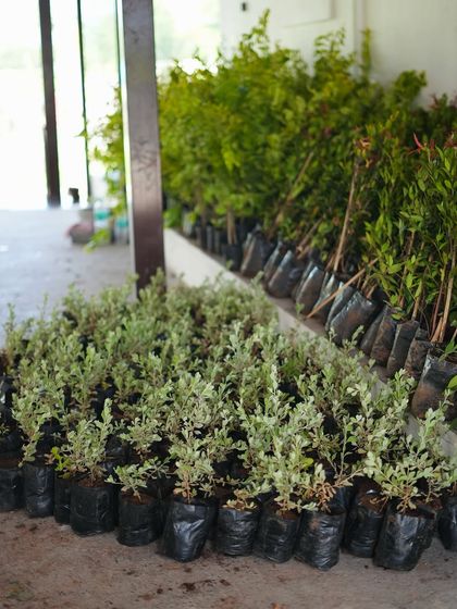 Our Design & Build Process photo 5