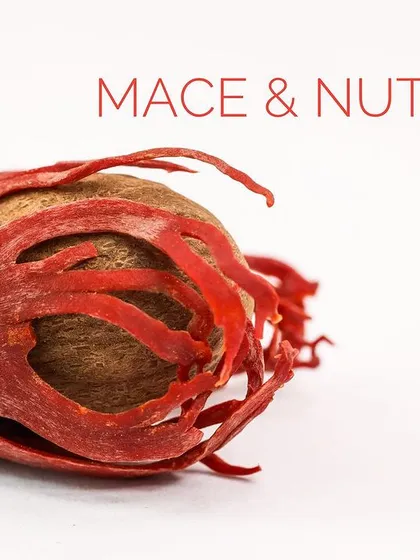 Mace and Nutmeg, two distinct spices from the same fruit. They bring a delicate warmth and sweetness to both savory dishes and desserts.