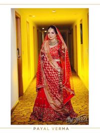 Custom Indian & Fusion Occasion Wear