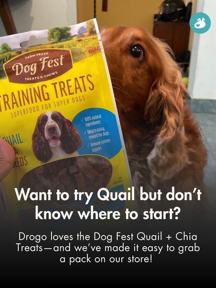 The Pack - Cause-Driven Merchandise The Pack Store: Curated for Your Pet photo 7