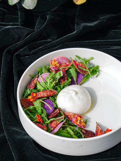 A stunning burrata salad from our Christmas menu, featuring creamy burrata with figs and fresh greens, set against a luxurious velvet backdrop.