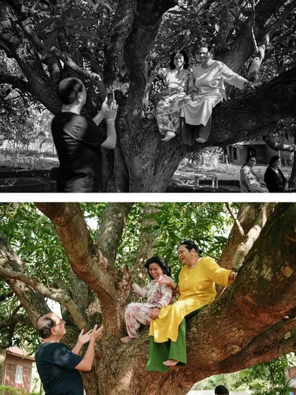 A playful moment of guests climbing a tree for a photo. This shows the fun, relaxed atmosphere we love to capture.