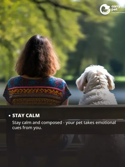 CarryMyPet - Pet Travel & Parenting Consultation Pet Parenting & Wellness photo 27