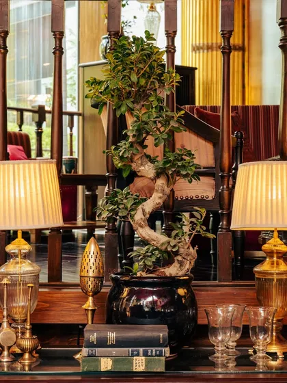 Enter a realm of opulence and regality. This corner, with its classic lamps, bonsai tree, and vintage books, is an example of how every detail in our decor resonates with pure luxury.