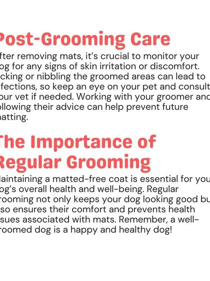 Woofly - Home Veterinary Services Coat & Skin Care photo 8