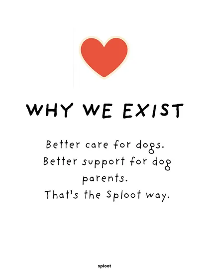 Why do we do what we do? It’s simple. We believe in better care for dogs and better support for the people who love them. That’s the Sploot way, and it’s at the heart of every grooming session, walk, and piece of advice we share.