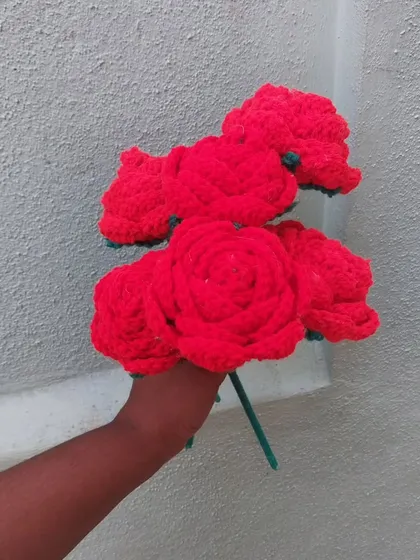 Holding the unwrapped bouquet of six red roses.