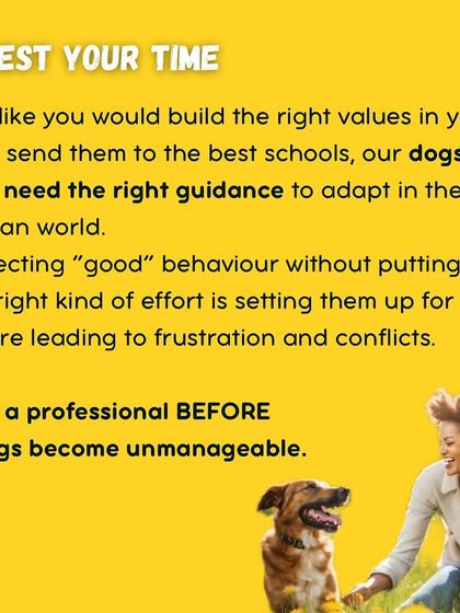 Garima Tomar - Dog Training & Behavior Consultation My Philosophy: Beyond Obedience photo 5