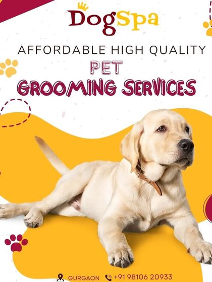 I offer affordable, high-quality pet grooming services to make your pet picture-ready. Book an appointment to experience the professional care that makes us stand out.