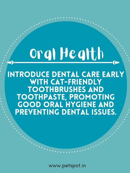 Pet Care & Grooming photo 6