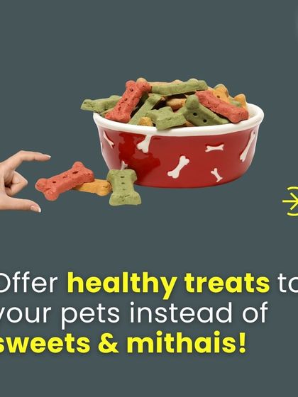 During festivals like Holi, it's important to keep human sweets away from pets. Instead, offer them healthy and delicious pet-friendly treats from our store to include them in the celebration safely.