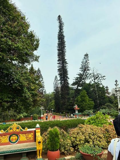 A view of the iconic landscape of Lalbagh during our community walk. It's a place rich with botanical history, and we are passionate about sharing its stories.
