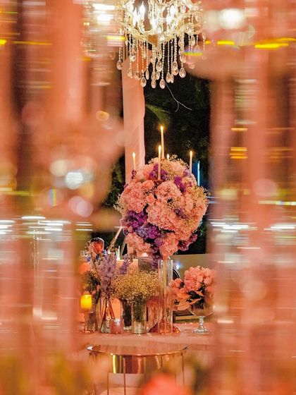 Grand Galas & Opulent Receptions photo 59