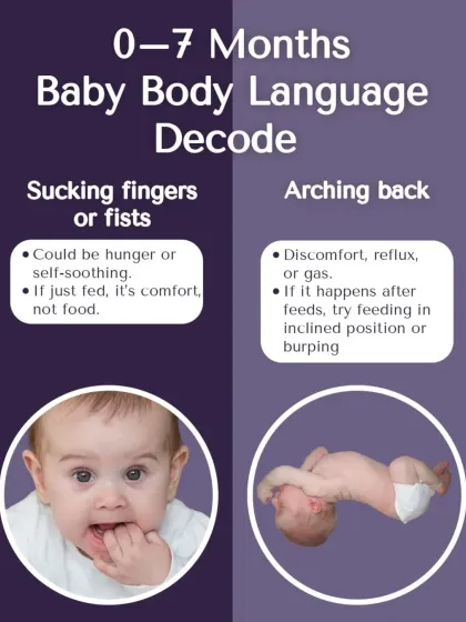 Learning your baby's body language is like learning a new language. This guide decodes common cues for 0-7 month old babies, like sucking fingers or arching their back.