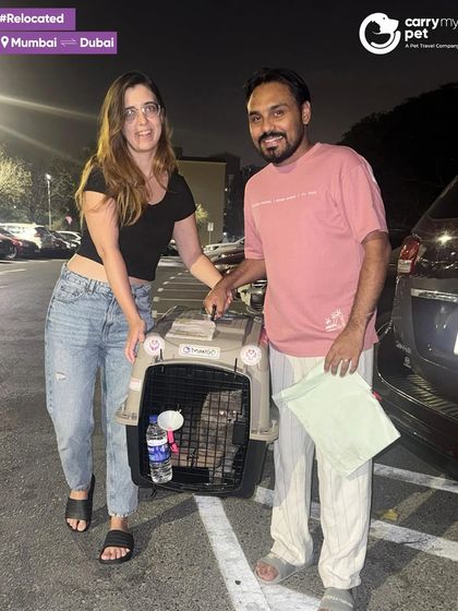 Mango the cat arrives safely in Dubai after his journey from Mumbai, with a team member ensuring a smooth handover to his owner.
