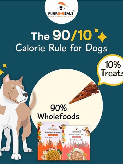 A visual reminder of the 90/10 calorie rule. It's not just about the treat itself, but the habit. Sticking to this rule with low-calorie options keeps your dog happy and healthy.