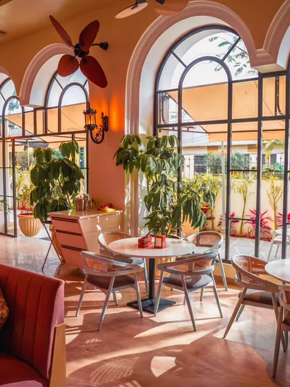 Sunlight streams through the grand arched windows of my mansion, illuminating spaces designed for lingering conversations and cherished moments. This is the heart of Roxie, where elegance meets ease, and every corner holds a story waiting to be told.