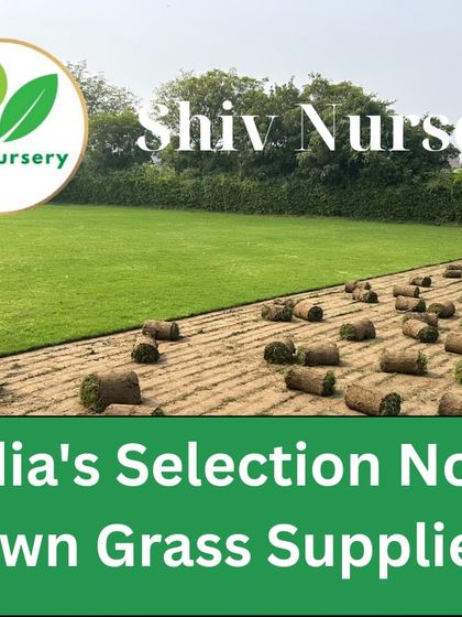 Another view of the Selection No. 1 grass being harvested. It's a top-tier choice for luxury homes, hotels, and corporate campuses.