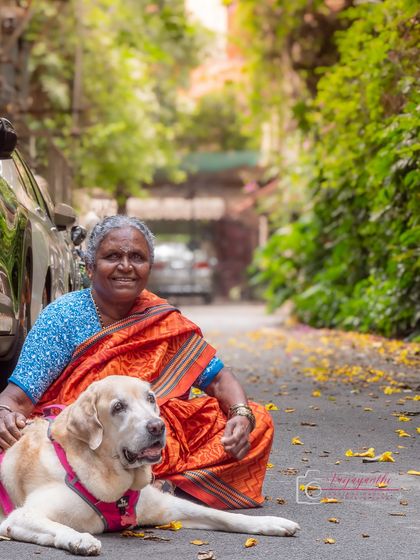 A beautiful, sun-dappled portrait of a senior Labrador with his caretaker, sitting on a quiet street lined with yellow flowers.