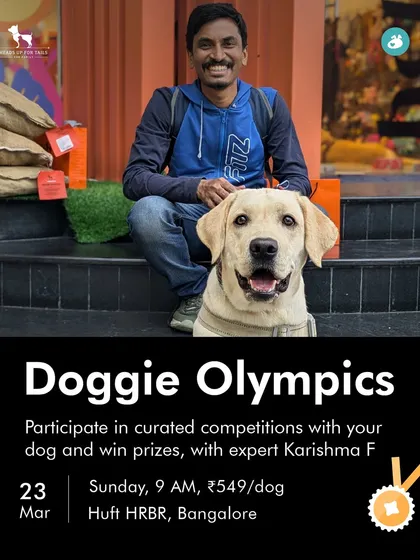 Welcome to the Doggie Olympics. This is one of our most popular community events, where we organize fun, friendly competitions for you and your dog. It's a day of games, challenges, and celebrating the unique skills of every pup.
