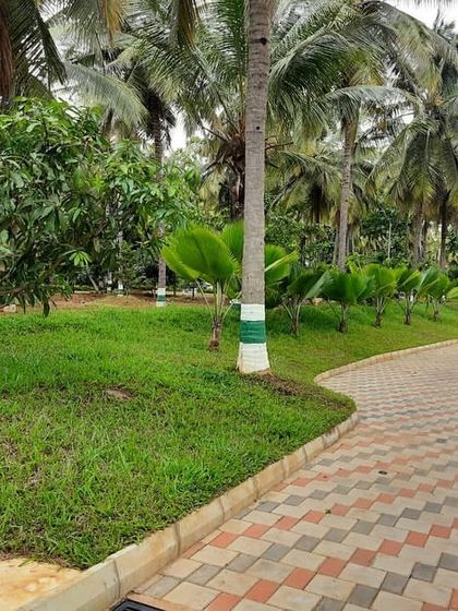 Residential Gardens & Courtyards photo 16