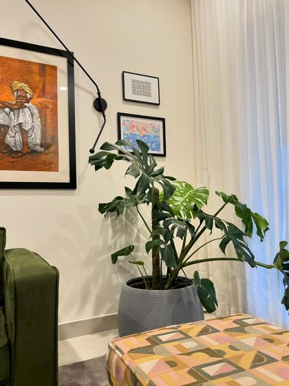 Plavi Design Studio - Home Renovation & Remodeling Open & Inviting Living Spaces photo 20