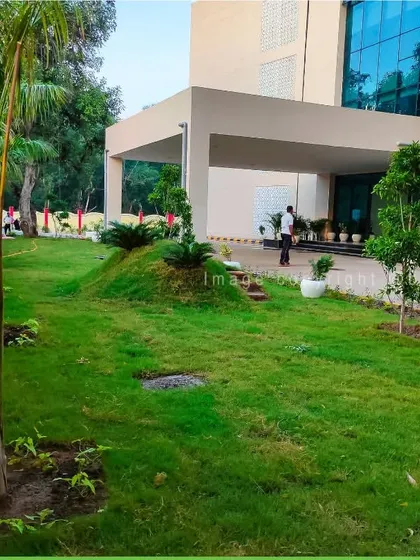This image shows a newly landscaped area at the entrance of a building. I installed fresh turf and planted young trees to create a welcoming and professional first impression for visitors.