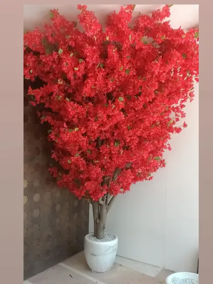 A magnificent, full-bloom red flowering tree in a white marble pot, designed to be a dramatic and colorful centerpiece.