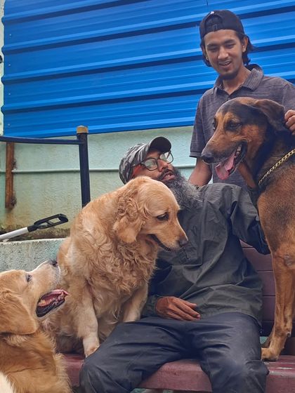 A big group hug with some of our Golden Retrievers and a German Shepherd. My staff and I are part of the pack.