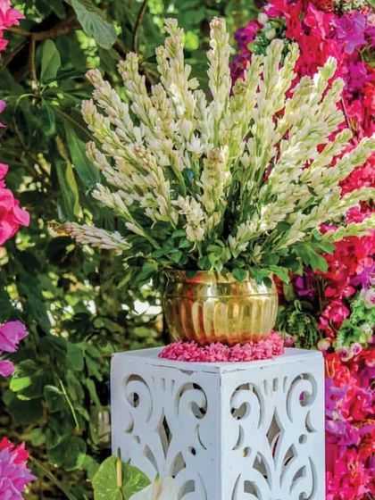 Nirvana Event and Decor - Wedding Planning & Thematic Decoration Vibrant Haldi & Mehendi Ceremonies photo 105