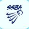 Surjit Singh Badminton Academy