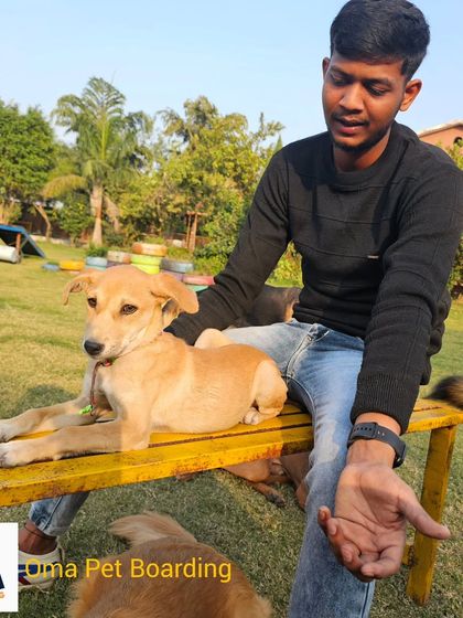 Our trainer Sunny spending some quality time with Lunni, a sweet Indie pup. Every dog gets one-on-one attention here.